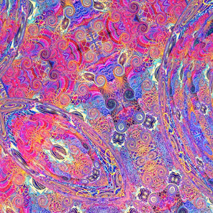 Placenta