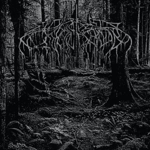 Wolves In The Throne Room