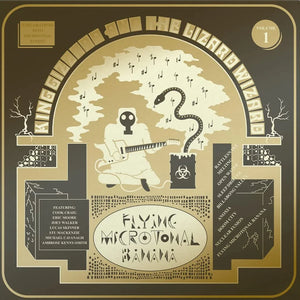 Flying Microtonal Banana