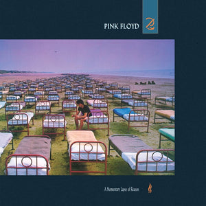 A Momentary Lapse of Reason