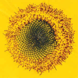 Principles of Inertia