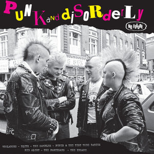 Punk and Disorderly - No Future